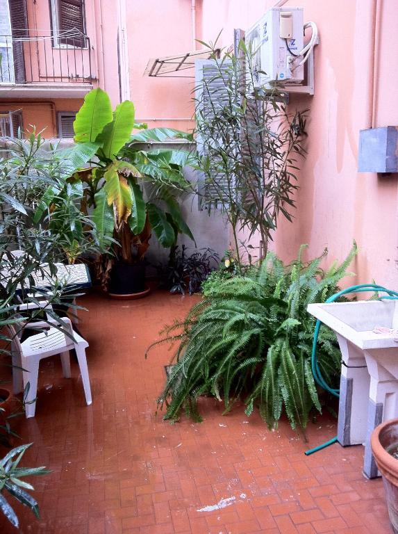 Ottimista Hotel Rome Buitenkant foto